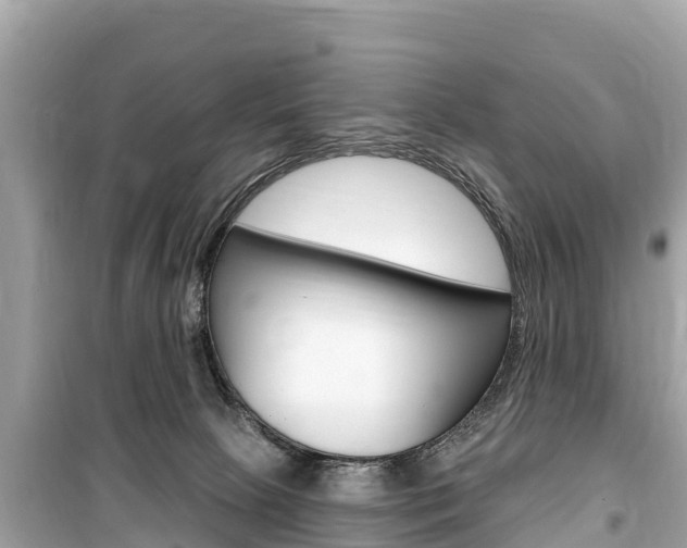 X0000099560081200805160801