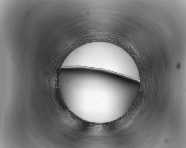 X0000099560083200805160801