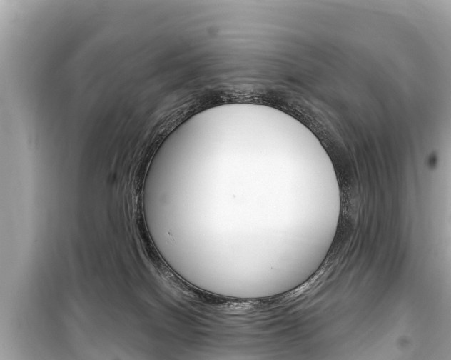 X0000099560086200805160801