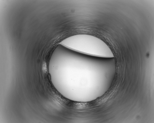 X0000099560089200805160801