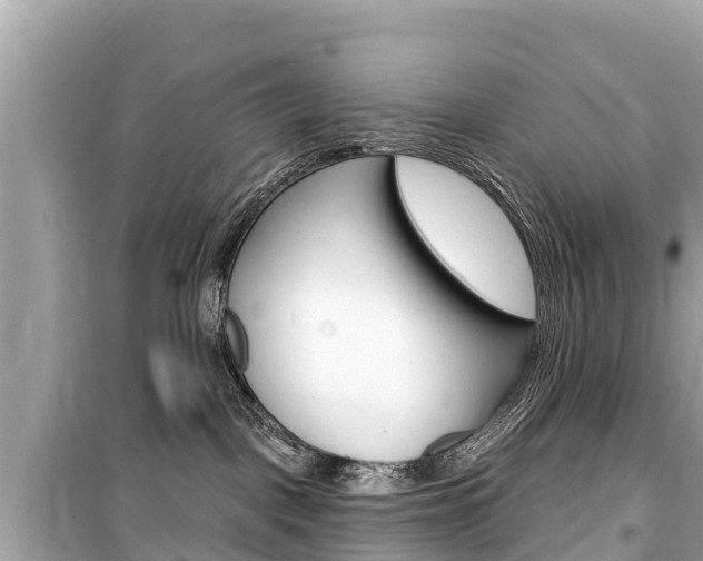 X0000099560093200805160801