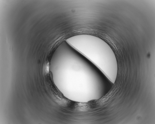 X0000099560095200805160801