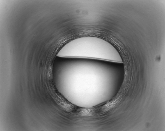 X0000099560096200805160801
