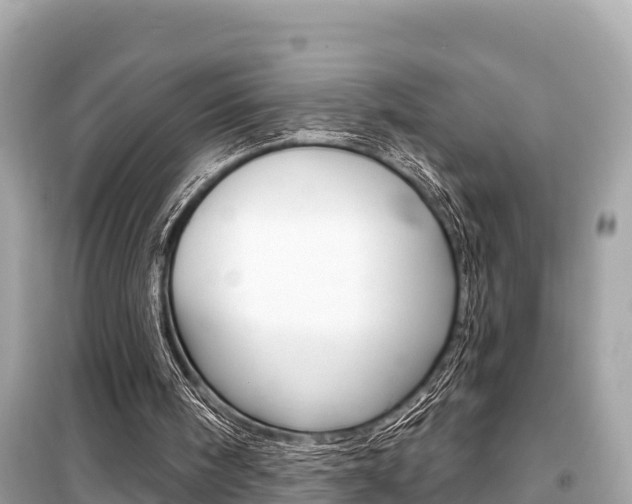 X0000099560098200805160800