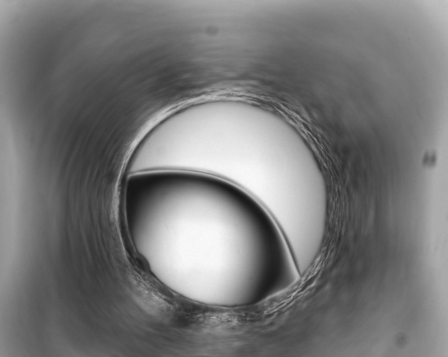 X0000099560100200805160800