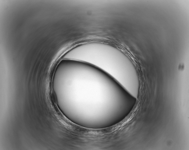X0000099560101200805160800