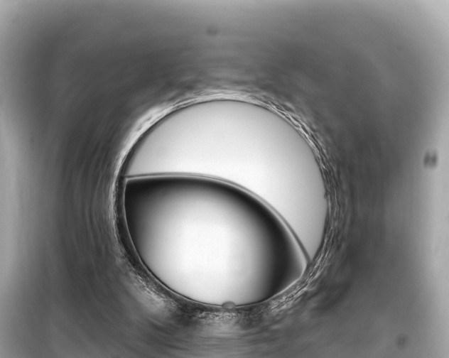 X0000099560104200805160800