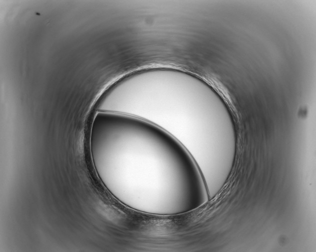 X0000099560108200805160800