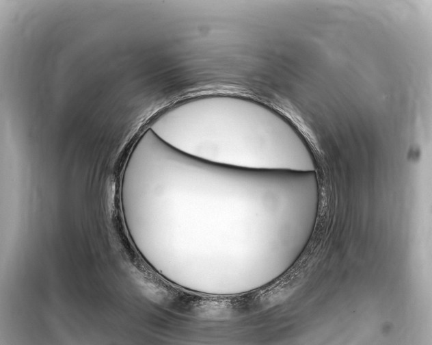 X0000099560110200805160800