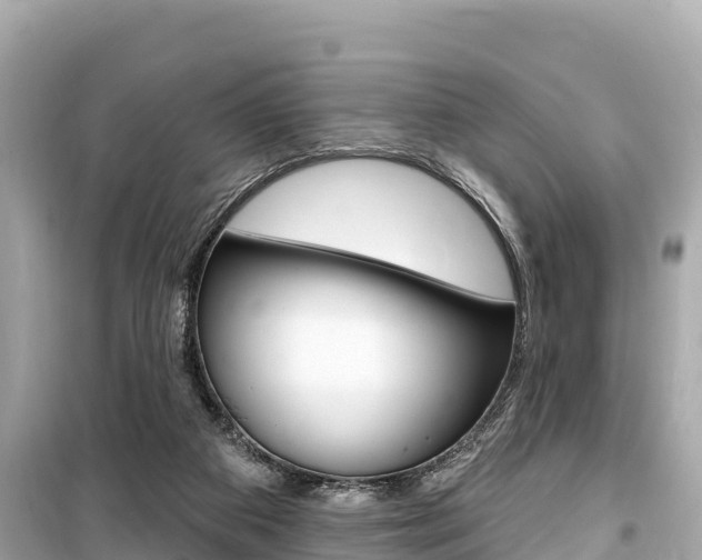 X0000099560113200805160800