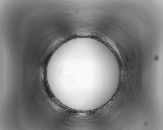 X0000099560114200805160800