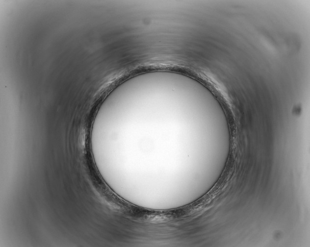 X0000099560115200805160800