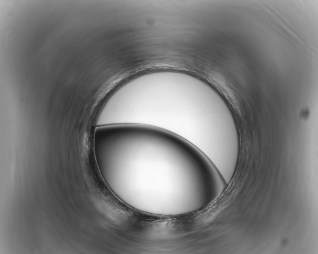 X0000099560116200805160800