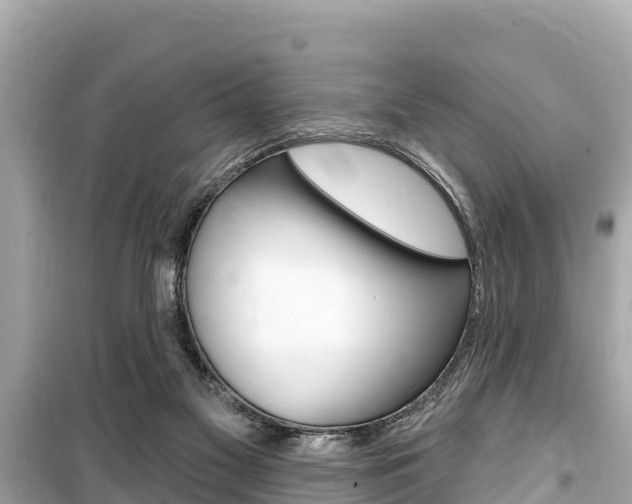 X0000099560117200805160800