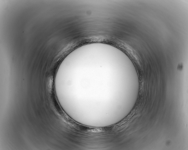 X0000099560118200805160800