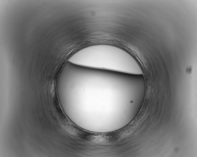 X0000099560121200805160800