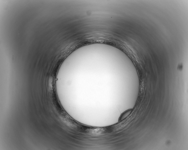 X0000099560122200805160800