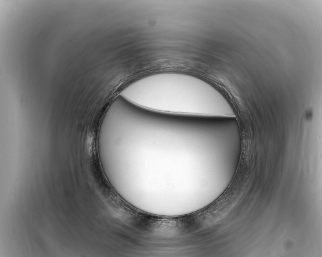 X0000099560123200805160800
