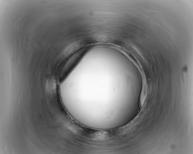 X0000099560124200805160800