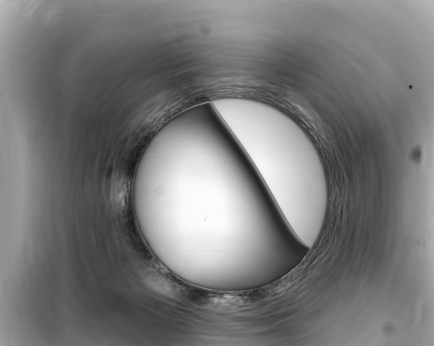 X0000099560125200805160800