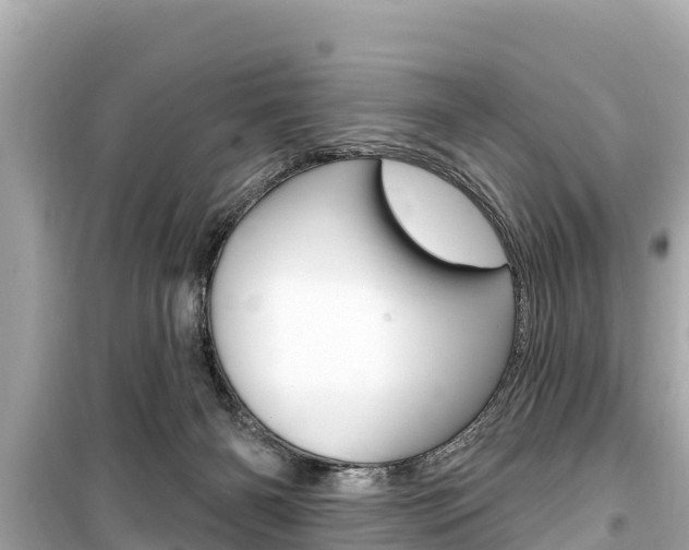 X0000099560126200805160800
