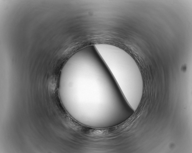 X0000099560129200805160800