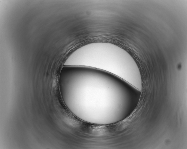 X0000099560132200805160800