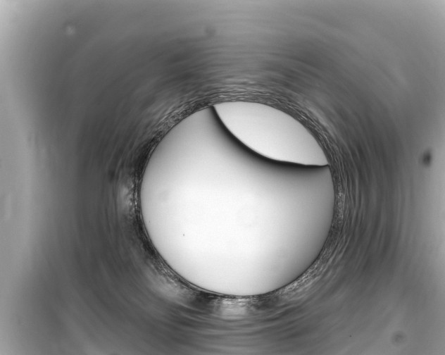 X0000099560134200805160800