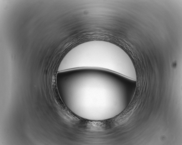 X0000099560137200805160800