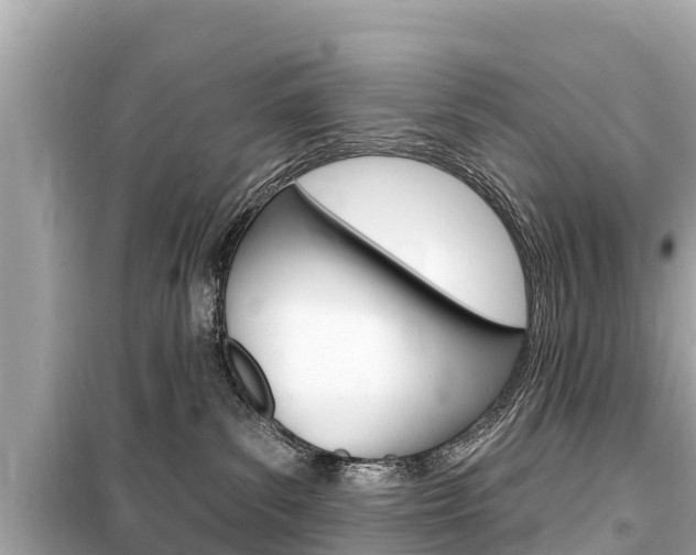 X0000099560139200805160800
