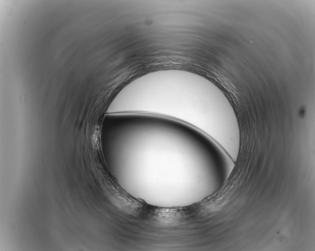 X0000099560141200805160800