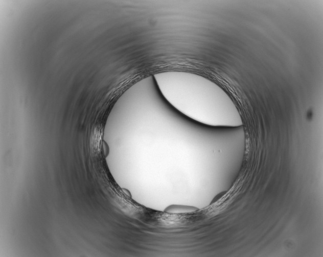 X0000099560142200805160800