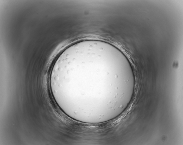 X0000099560151200805160759