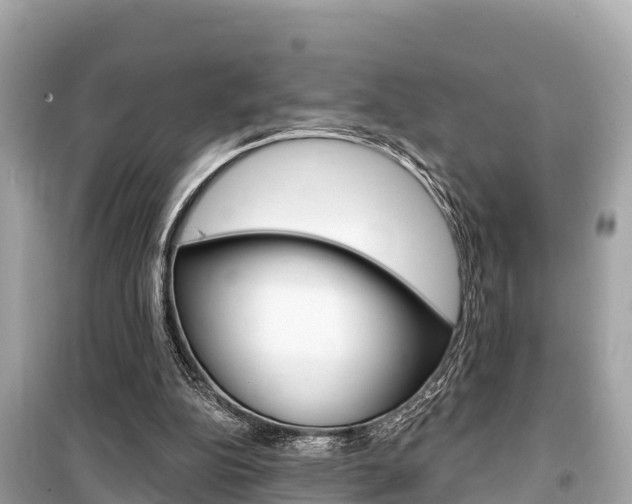 X0000099560152200805160759