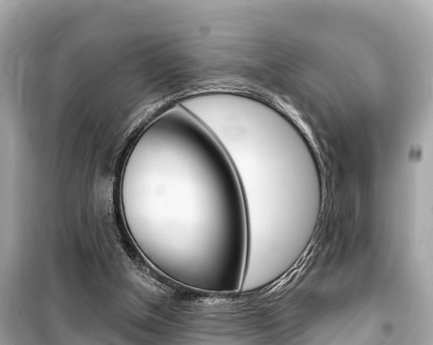 X0000099560154200805160759