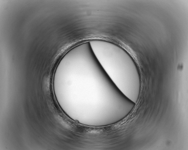 X0000099560155200805160759