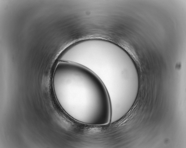 X0000099560156200805160759