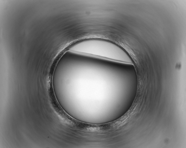 X0000099560160200805160759