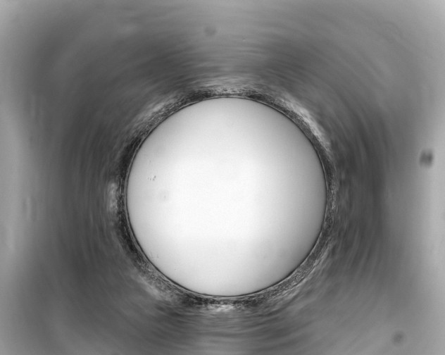 X0000099560161200805160759