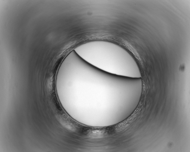 X0000099560163200805160759