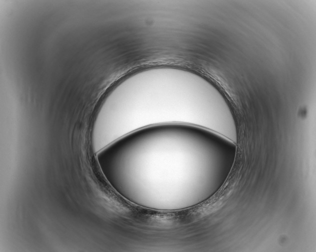 X0000099560164200805160759