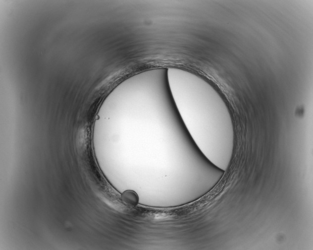 X0000099560165200805160759