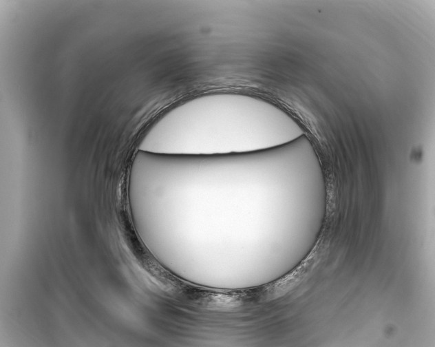 X0000099560166200805160759