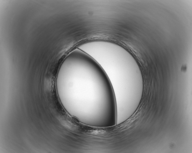 X0000099560168200805160759