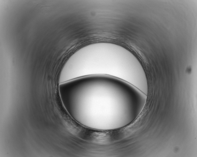 X0000099560170200805160759