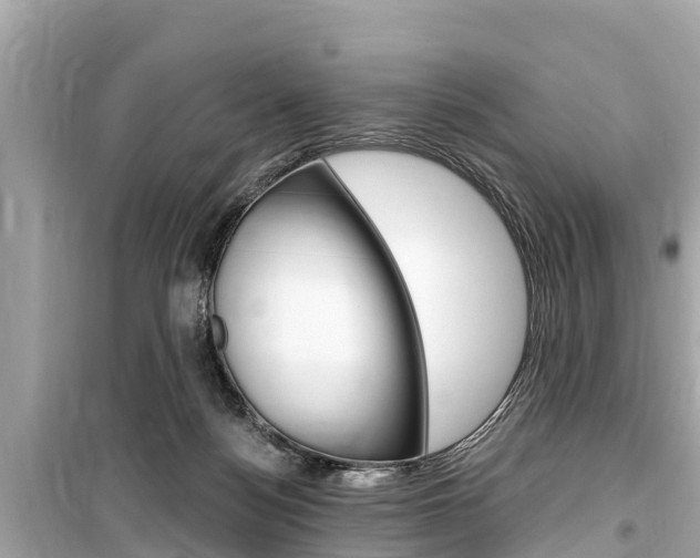 X0000099560172200805160759