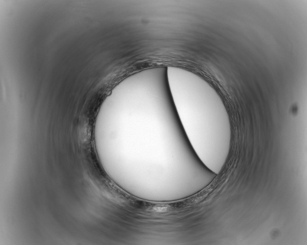 X0000099560173200805160759