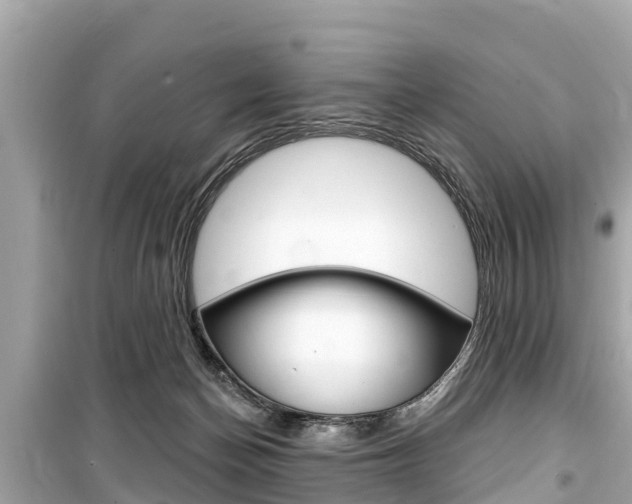 X0000099560174200805160759