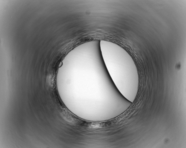 X0000099560177200805160759