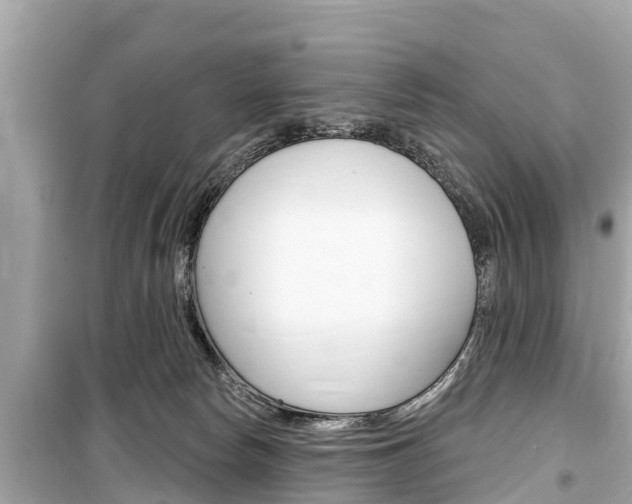X0000099560178200805160759